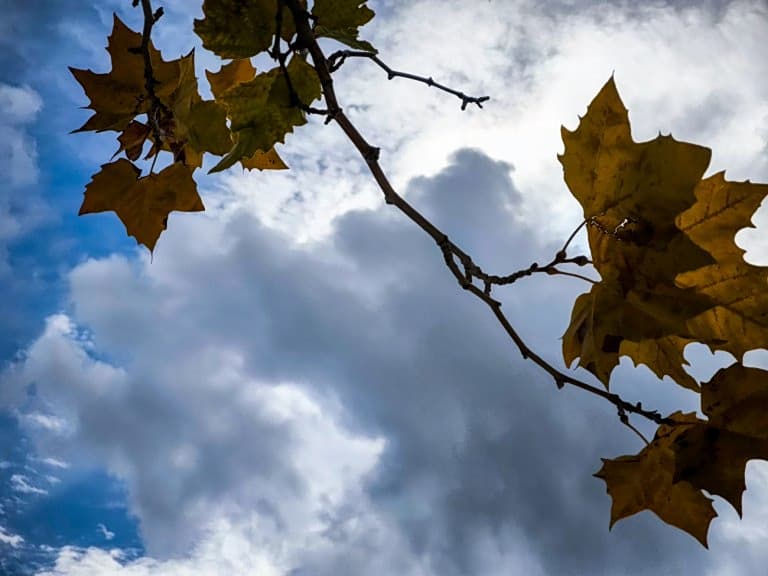 Καιρός δεκαήμερο: Ήπιος και ανοιξιάτικος με λίγες βροχές