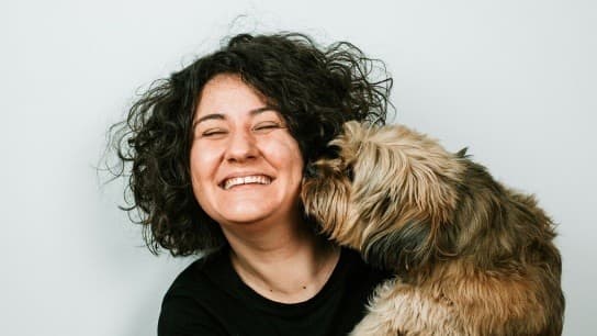 Τεχνητή νοημοσύνη βρήκε χαμένο σκυλί μετά από δύο μήνες