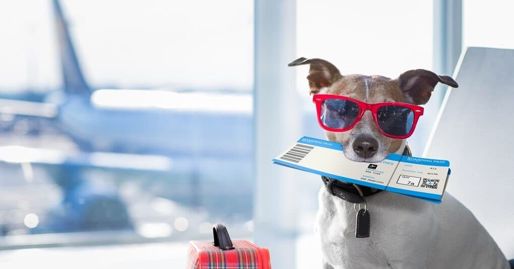 Νέοι κανόνες για ταξίδι κατοικιδίων στην ΕΕ από 22/4