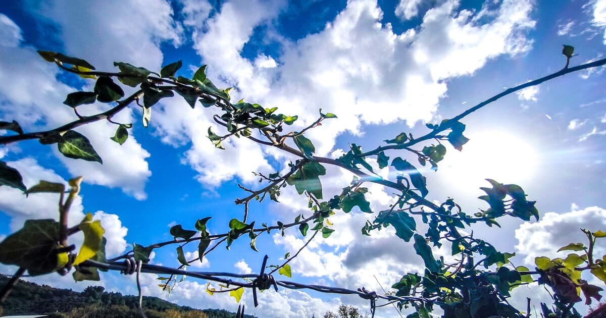 Ανοιξιάτικος καιρός αύριο Τρίτη σε ολόκληρη τη χώρα