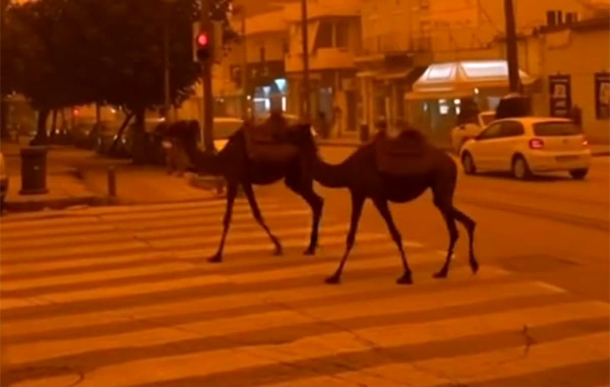 Κόκκινη ομίχλη «έπνιξε» την Κρήτη από αφρικανική σκόνη