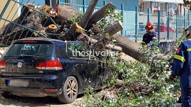 Ισχυροί άνεμοι στη Θεσσαλονίκη: Πτώσεις δέντρων και τραυματισμοί