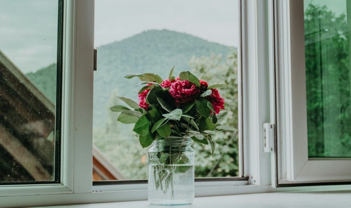 Φυσικό κόλπο για να διώξετε τα έντομα από το σπίτι