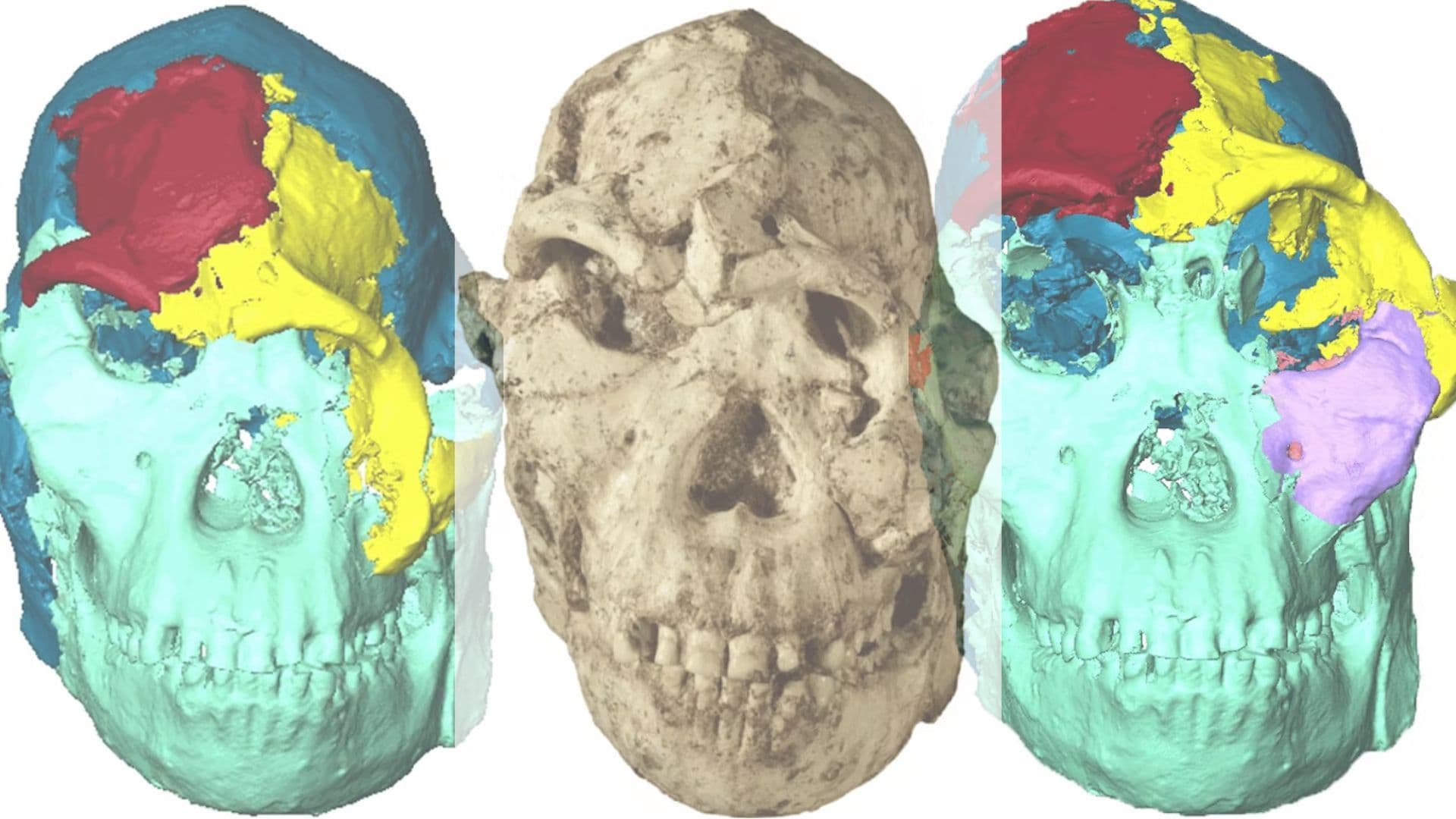 Little Foot: Το πρόσωπο του προγόνου μας 3 εκατ. χρόνια πριν