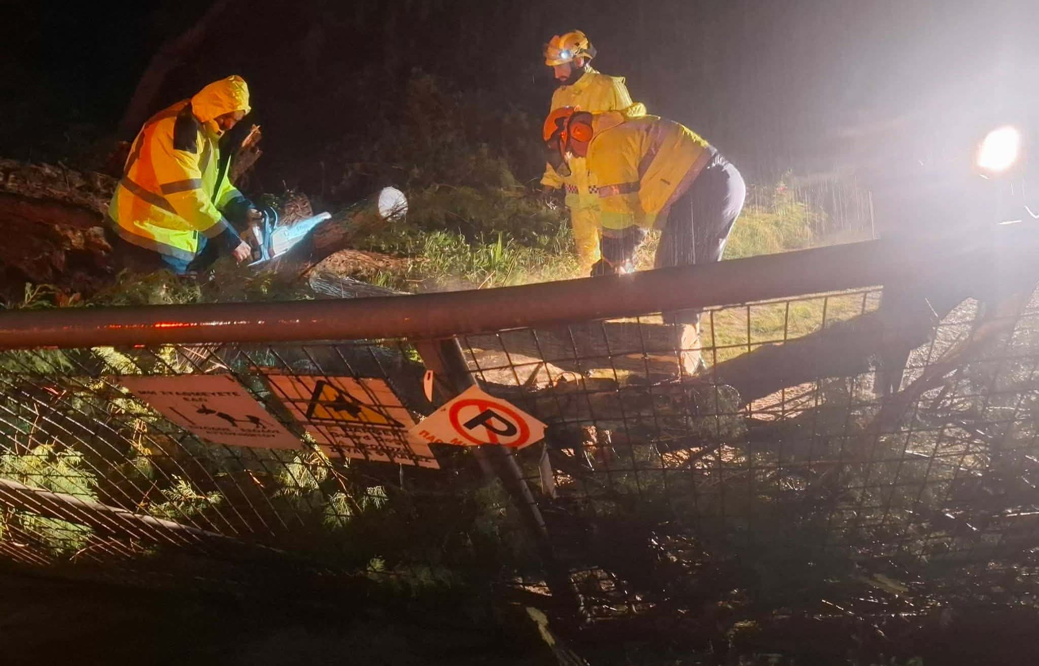 Κακοκαιρία: Πτώσεις δέντρων στην Αθήνα και εγκλωβισμός σε νησιά