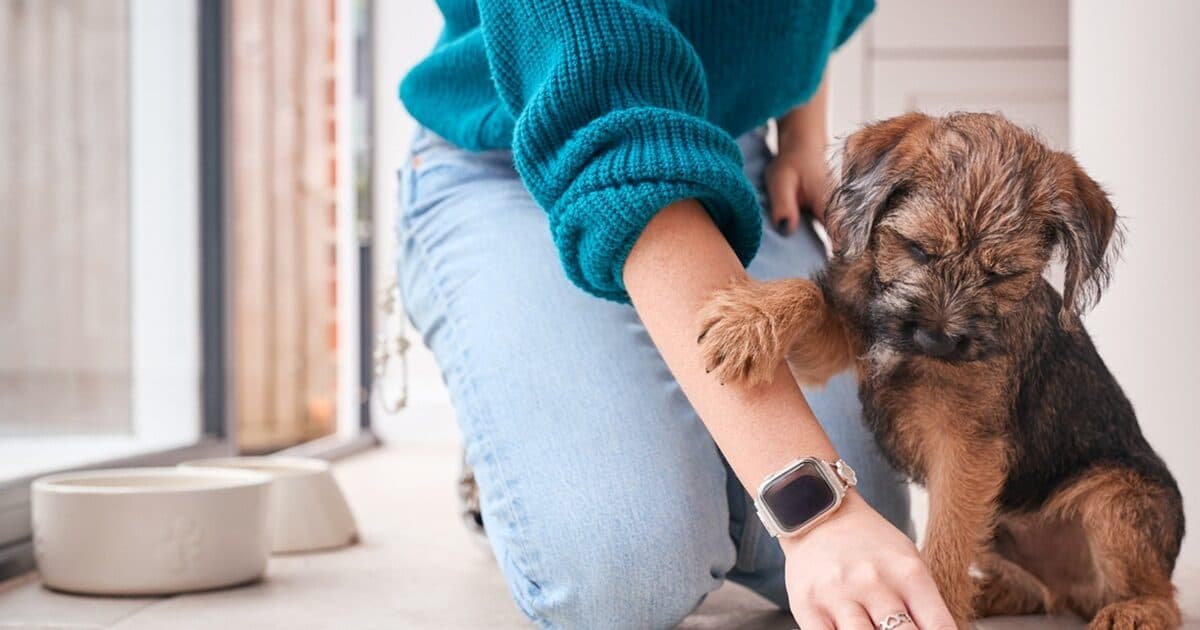 Οσμές κατοικιδίων: Πώς να εξαλείψεις δυσάρεστες μυρωδιές