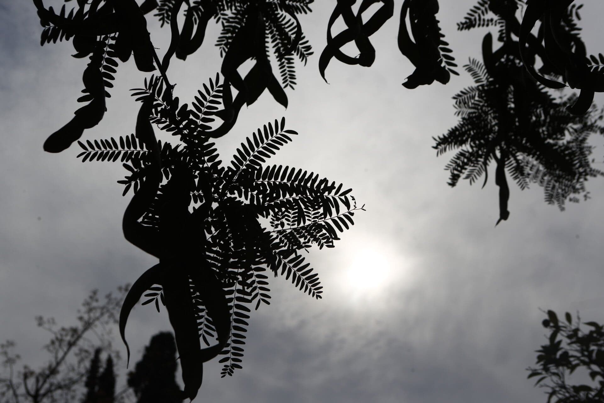 Κυριακή Σταυροπροσκυνήσεως σήμερα – Πώς θα είναι ο καιρός