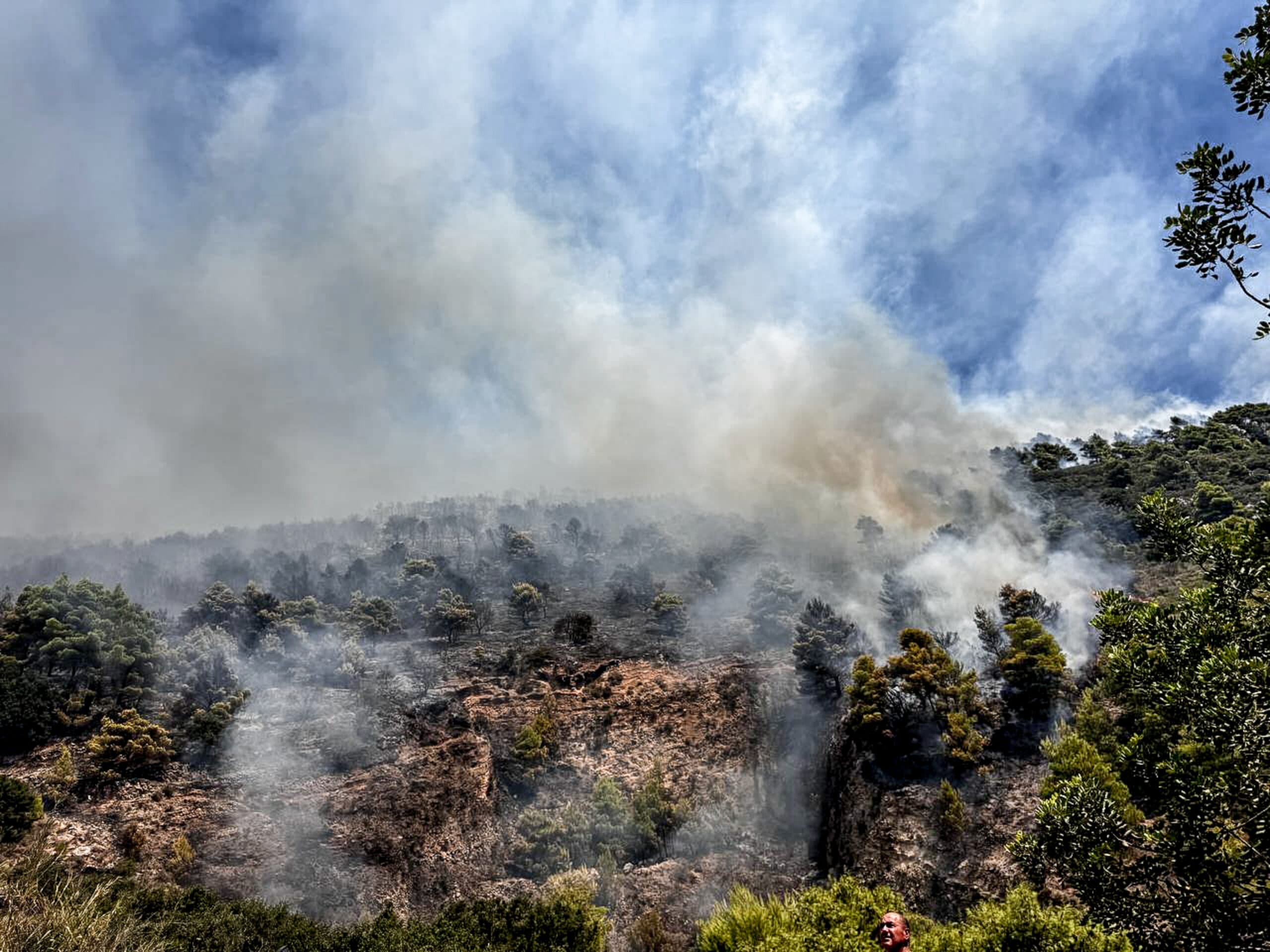 Πυρκαγιά στη Σητεία: 25 στρέμματα στις φλόγες