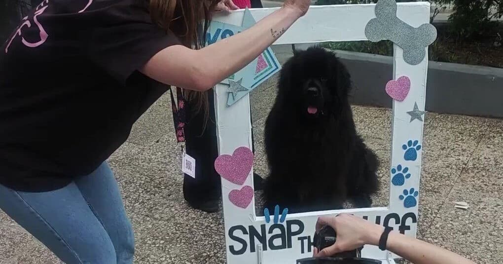 Δωρεάν φωτογράφιση κατοικιδίων στο Παγκράτι