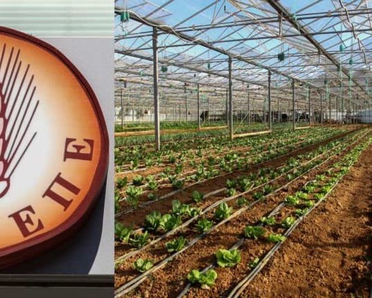 Πάσχα με ακριβά καύσιμα και σκάνδαλο ΟΠΕΚΕΠΕ