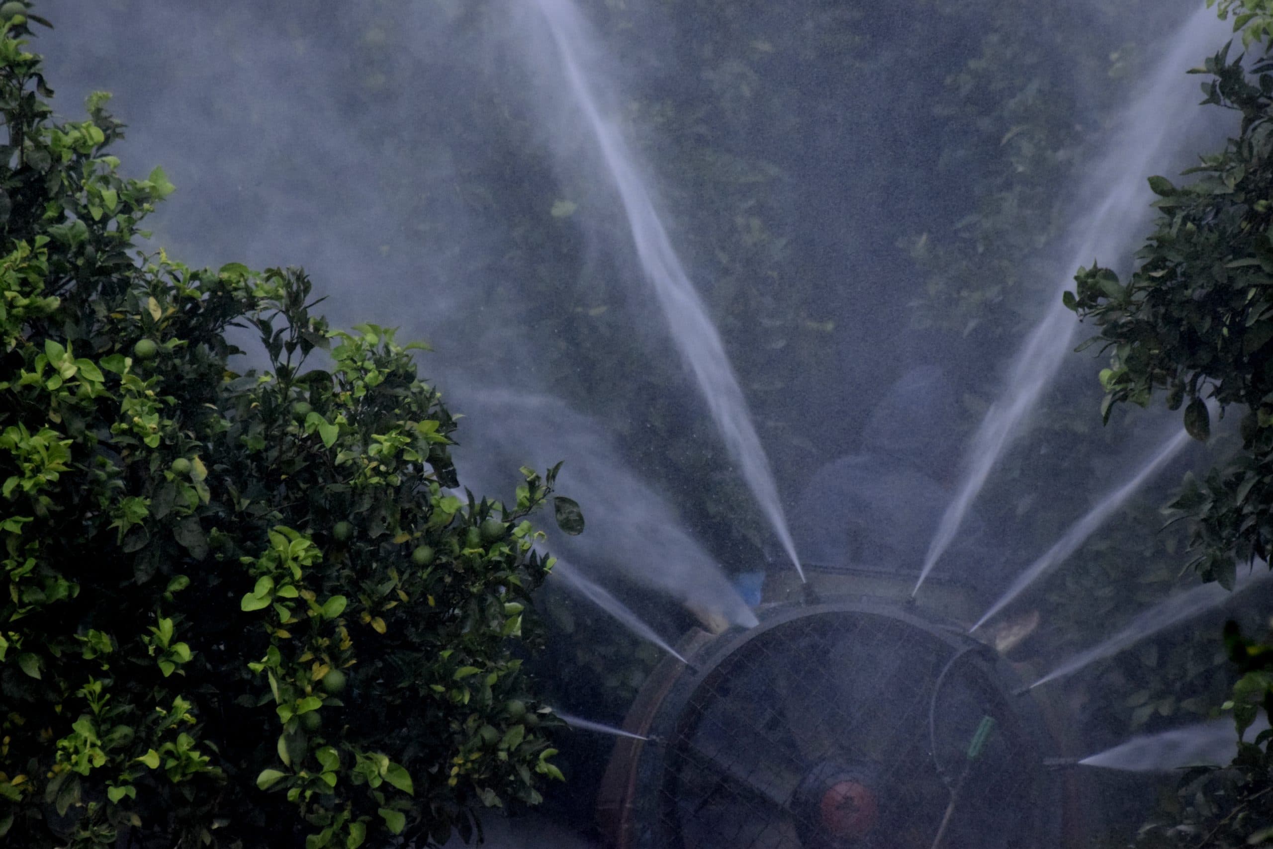 Φυτοφάρμακα αυξάνουν τον κίνδυνο καρκίνου κατά 150%