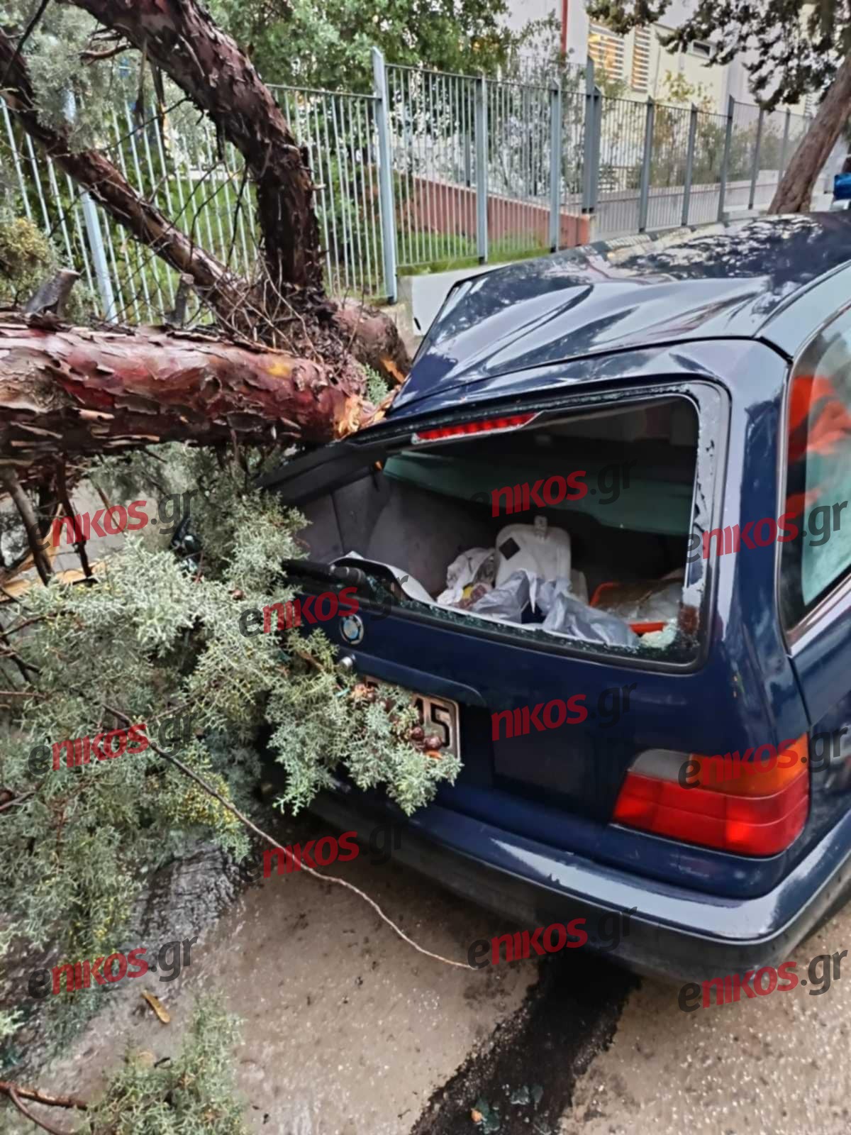 news 69776c922121a - Θυελλώδεις άνεμοι στην Αργυρούπολη: Δέντρο καταπλάκωσε αυτοκίνητο