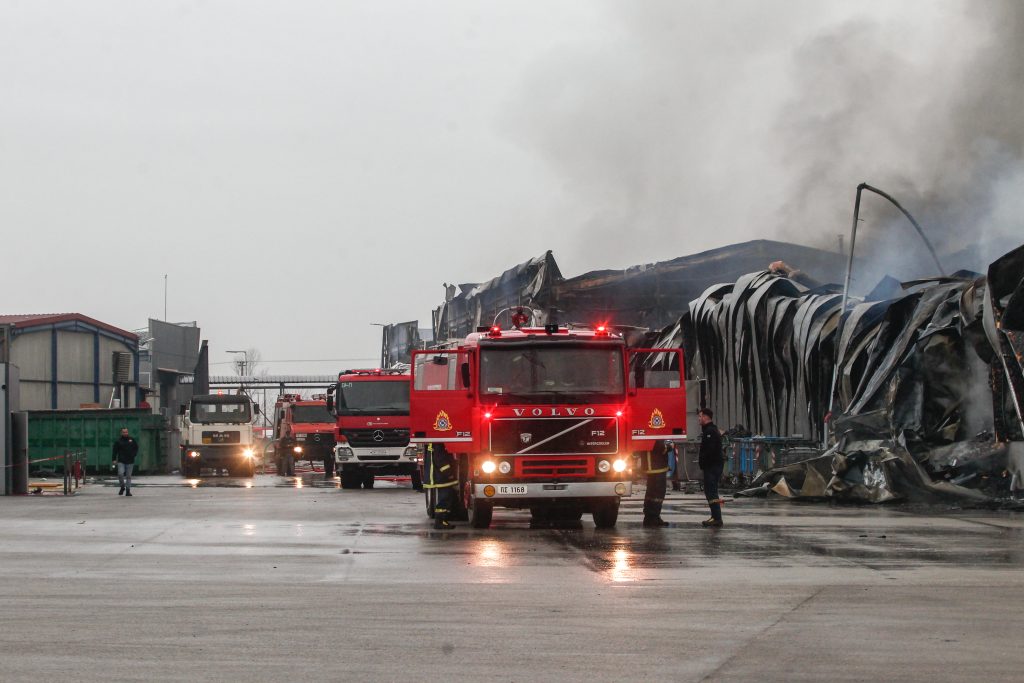 news 697e123db4898 - Νέα μελέτη ανατρέπει τα δεδομένα για τη διατροφή μετά τα 80 - Γιατί το κρέας μπορεί να προσφέρει μακροζωία