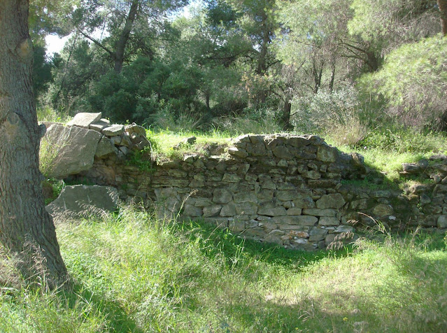 news 697efa184c50c - Όταν η Τεχνητή Νοημοσύνη γίνεται συνοδηγός στον ελληνικό τουρισμό