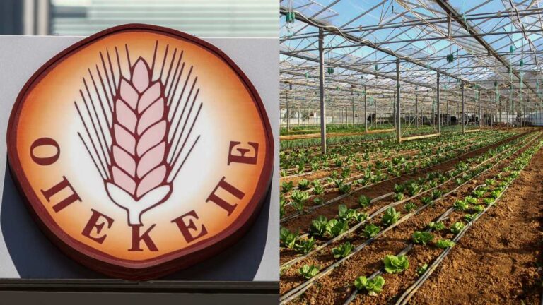 news 698222f9e053f - ΠΑΣΟΚ: «Επικοινωνιακός αντιπερισπασμός» η εξεταστική του ΟΠΕΚΕΠΕ - Κατηγορεί τη ΝΔ για συγκάλυψη