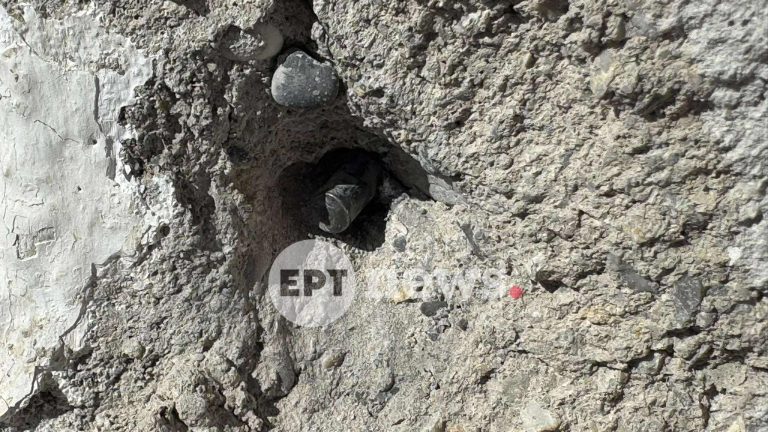 news 698229c4b6407 - Βορίζια: Εντοπίστηκε οπλοστάσιο σε ποιμνιοστάσιο συγγενή εμπλεκόμενου στο φονικό του Νοεμβρίου