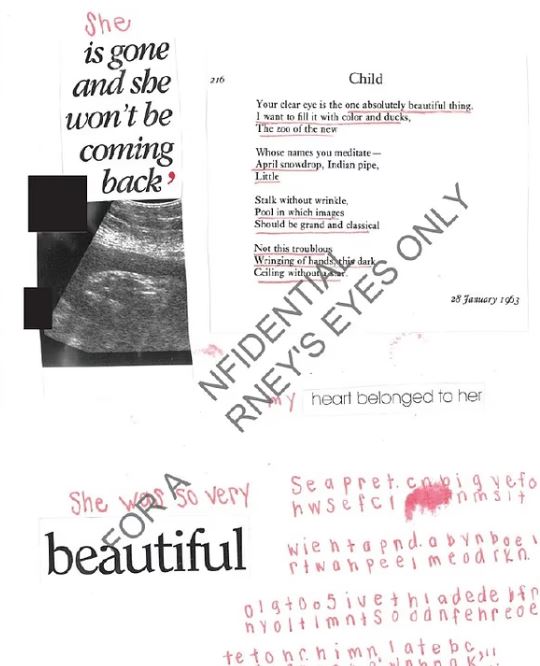 news 6982d98c3dbbb - Η Σκοτεινή Υπόθεση Έπστιν: Καταγγελίες για Γονιδιακή Υπερφυλή και Αρπαγή Βρέφους