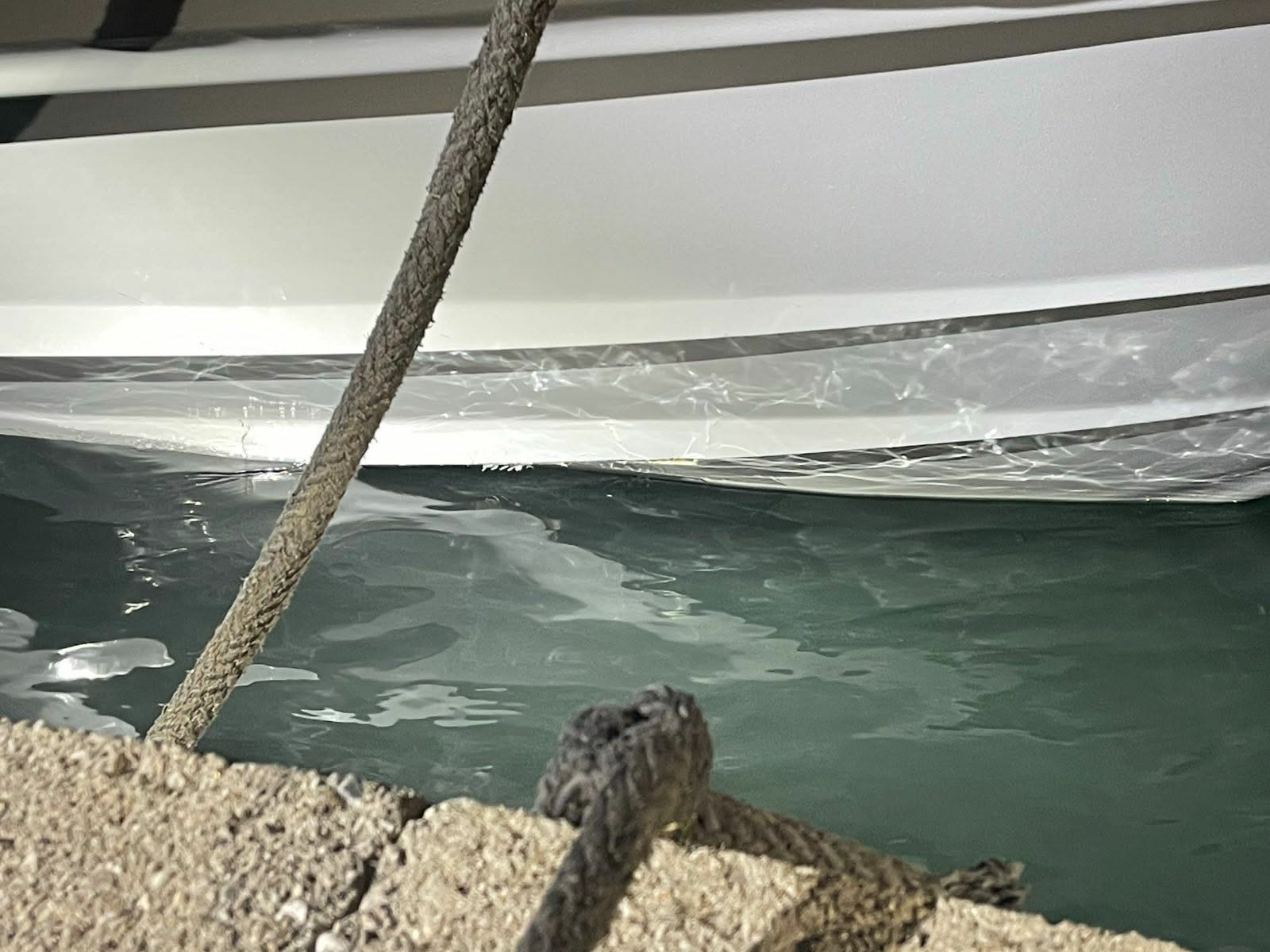 news 6982fcaf83871 - Τραγωδία στη Χίο: 15 νεκροί από σύγκρουση σκάφους μεταναστών με περιπολικό του Λιμενικού