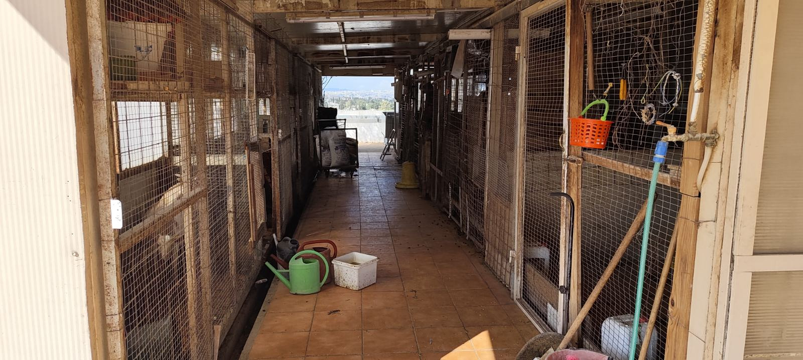 παράνομη εκτροφή ζώων ταράτσα Αμπελόκηποι