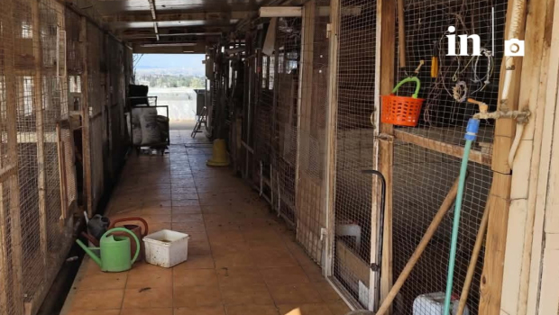 παράνομη εκτροφή ζώων ταράτσα Αμπελόκηποι