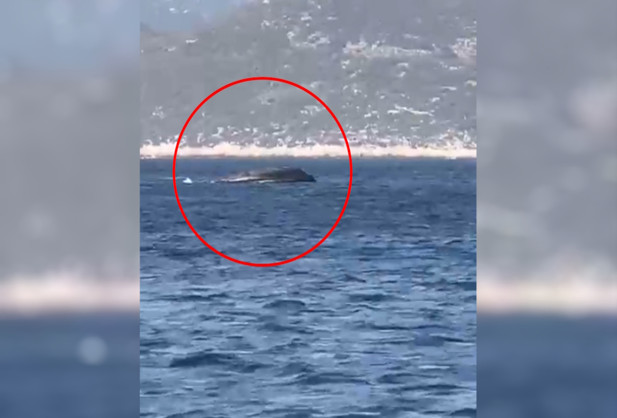 σκάφος Frontex βυθίστηκε Καστελόριζο Μεγίστη