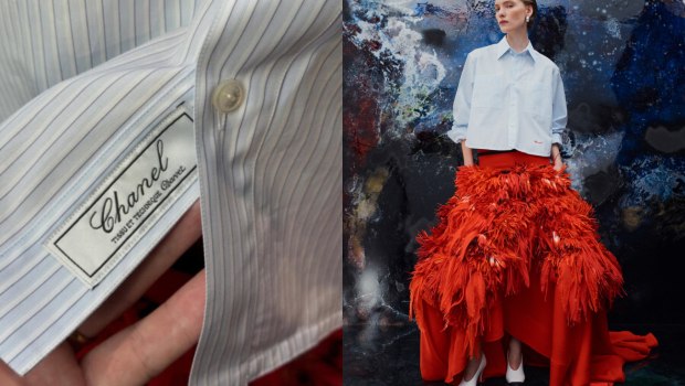 απολίθωμα αστερία Ντενιζλί Τουρκία γεωλογικό εύρημα