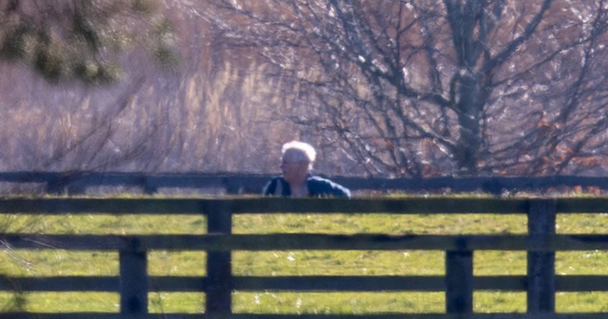 Λάκης Λαζόπουλος Αλ Τσαντίρι Νιουζ MEGA