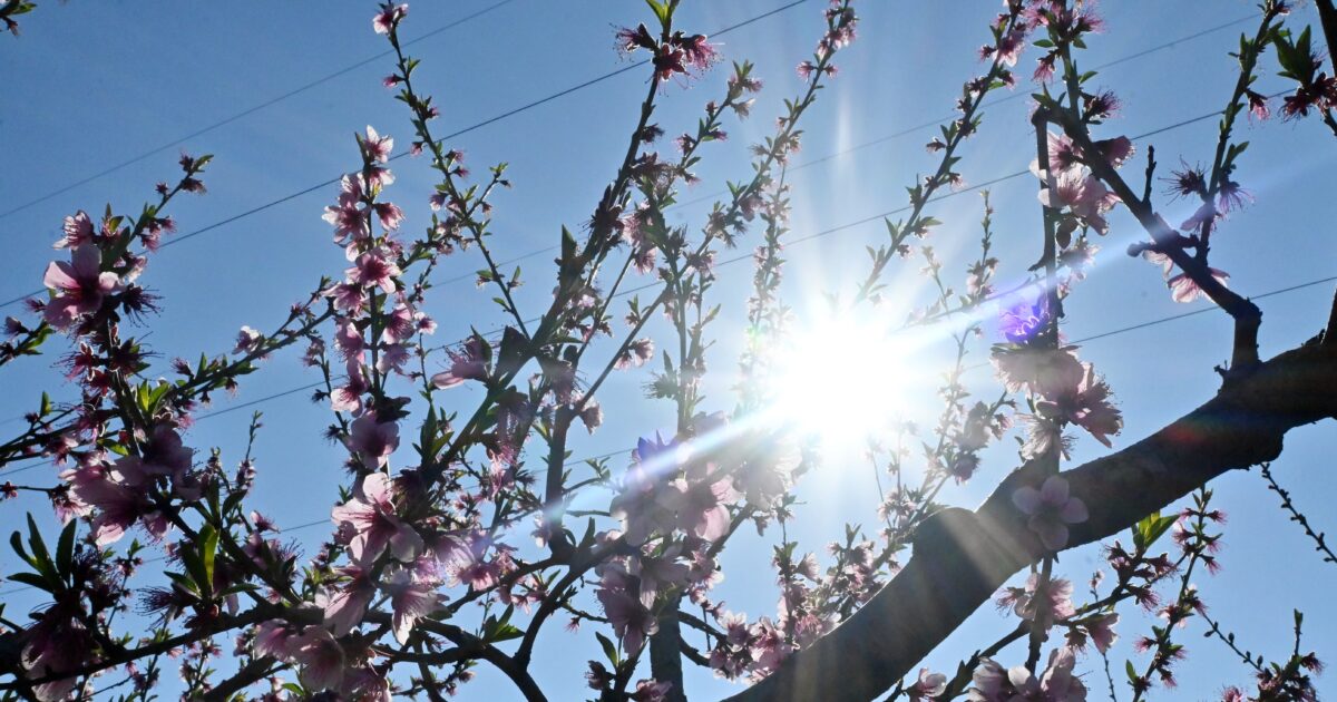 Πρόγνωση καιρού 10 Μαρτίου αίθριος ζεστή ημέρα