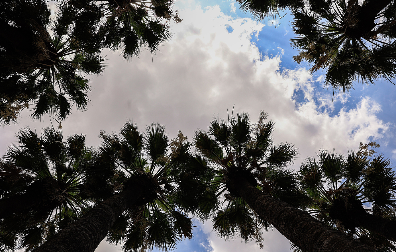 πρόγνωση καιρού Σάββατο Ελλάδα ηλιοφάνεια