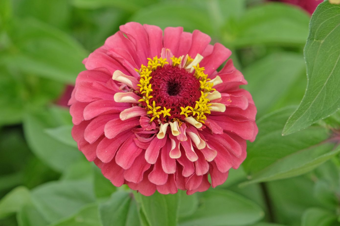 Μοντέλο συνιδιοκτησίας πολυτελών ακινήτων στην Ελλάδα