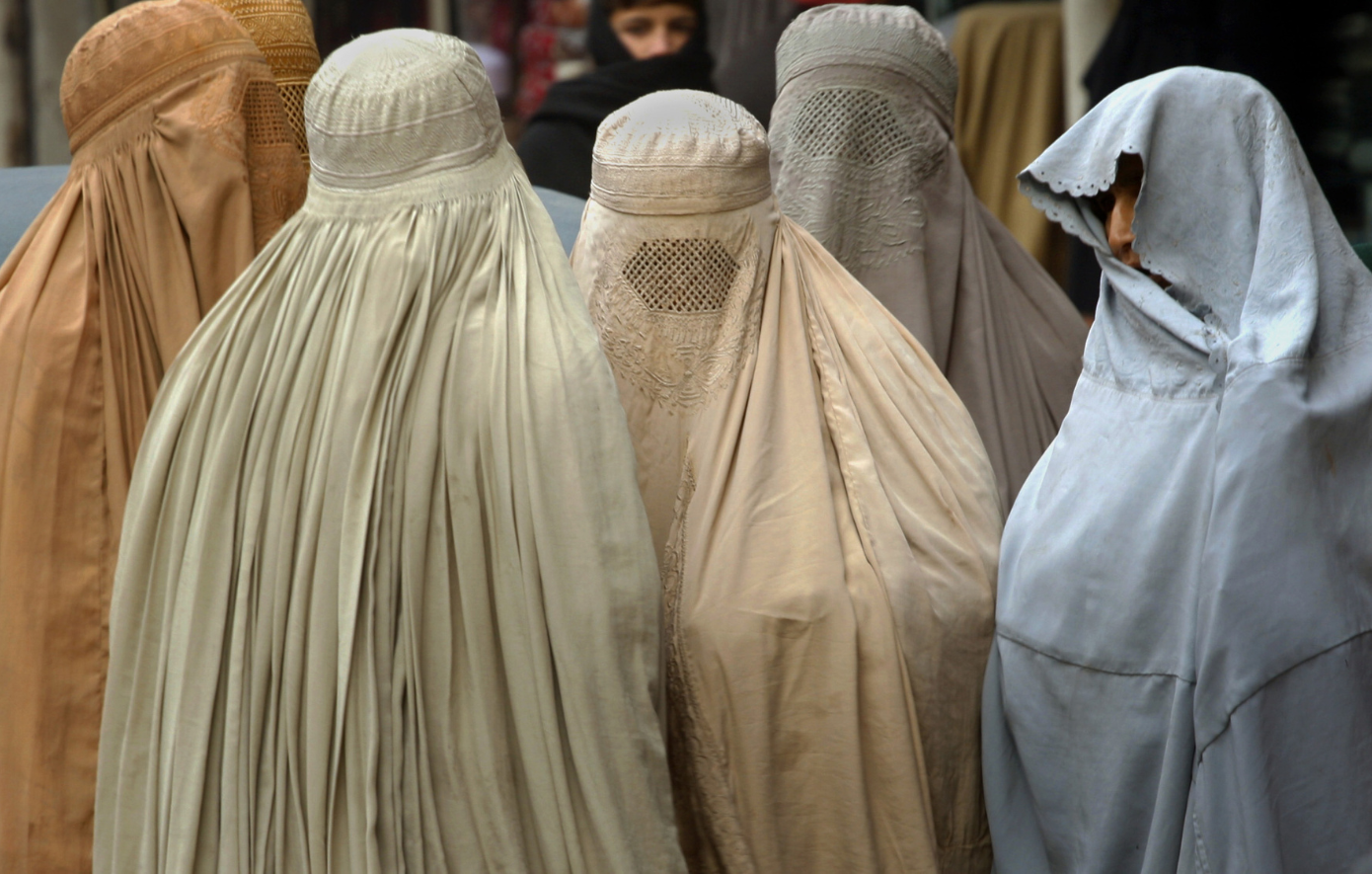 Υπουργός Μετανάστευσης Πλεύρης μεταναστευτικές ροές Ελλάδα