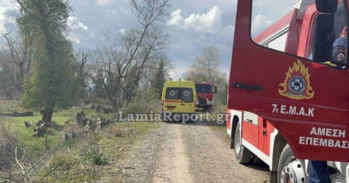 Θανατηφόρο ατύχημα Υπάτη πτώση δέντρου