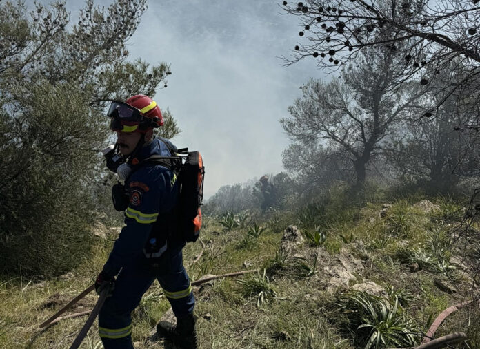 Πυρκαγιά Βιάννος Κρήτη φλόγες πυροσβεστική