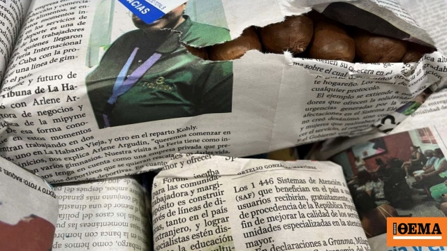 Λαθραία πούρα Αβάνας που κατασχέθηκαν στο αεροδρόμιο