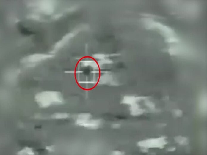 Επίθεση λιονταριών σε παιδί ζωολογικό κήπο Κίνας