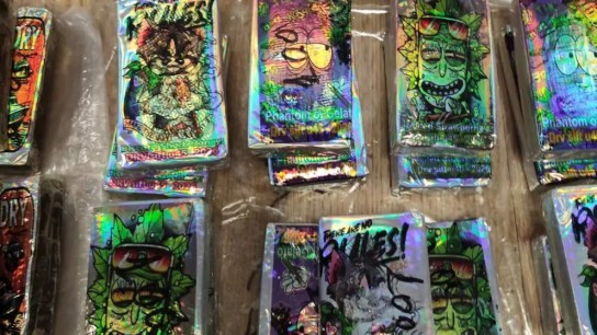 κύκλωμα ναρκωτικών Αττική κατάσχεση κοκαΐνης ΕΛΑΣ