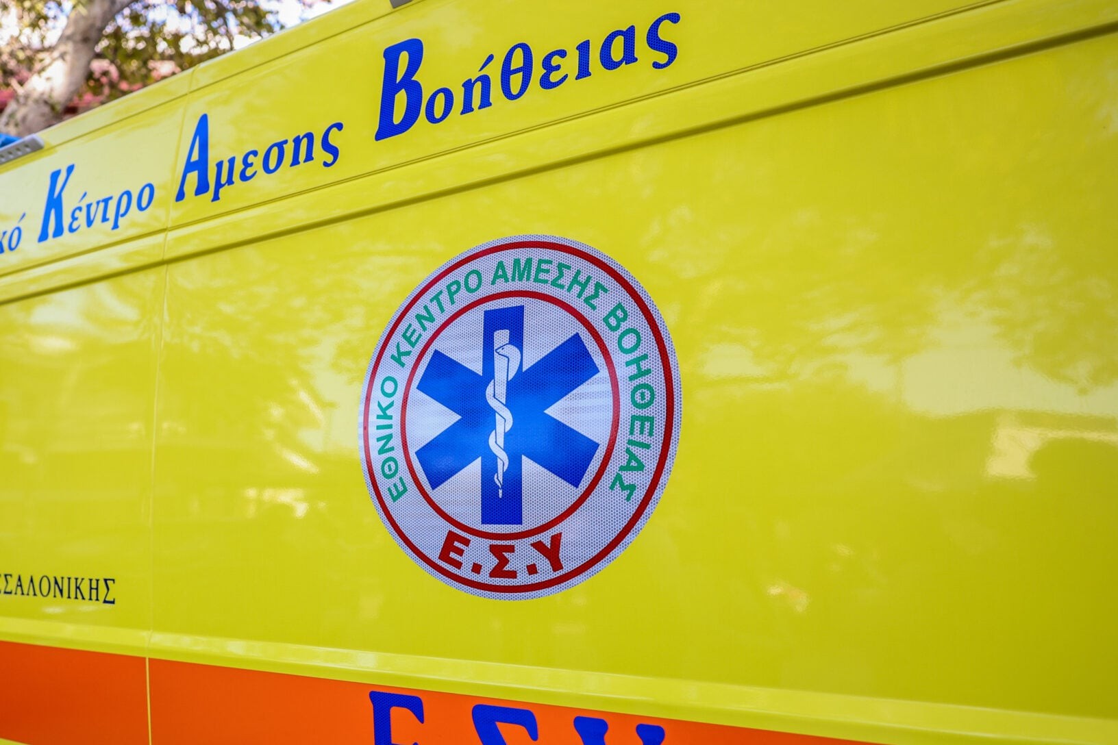 επίθεση αδέσποτων σκύλων αγροτική περιοχή Πιερία