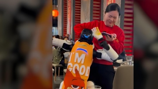 Ρομπότ εκτός ελέγχου σε εστιατόριο της Καλιφόρνια