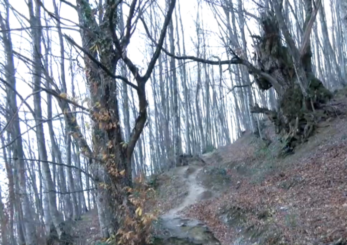 Λούκα Ντόντσιτς Λέικερς NBA χωρισμός