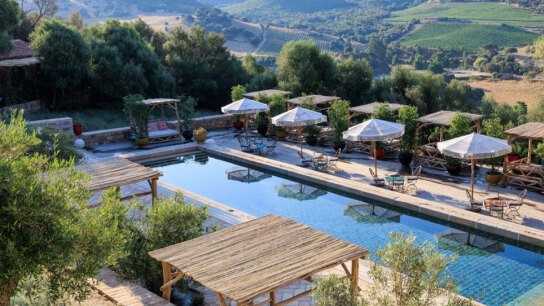 Μαξ Ντάουμαν γκολ Άρσεναλ Premier League