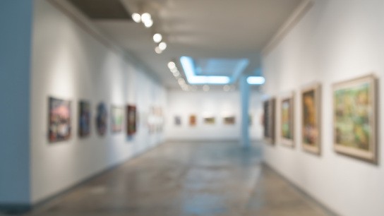 Έφοδος σε γκαλερίστα του Κολωνακίου για πίνακες έφοδος αστυνομίας γκαλερίστα Κολωνάκι πίνακες