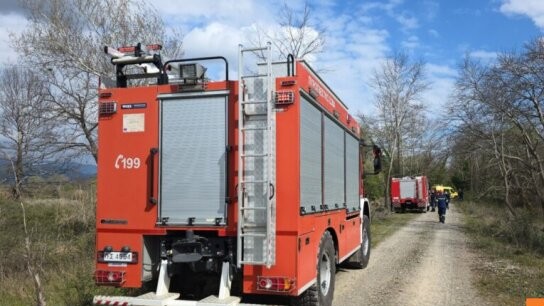 Θανατηφόρο ατύχημα Υπάτη πτώση δέντρου