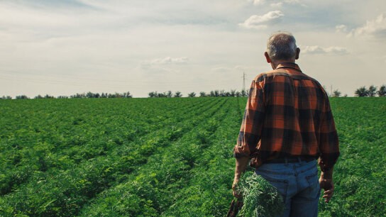 Επαναπατρισμός Ελλήνων πολιτών από Μέση Ανατολή αεροδρόμιο