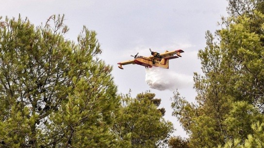 φωτιά δασική έκταση Μαυράτα Κεφαλονιά πυροσβεστική