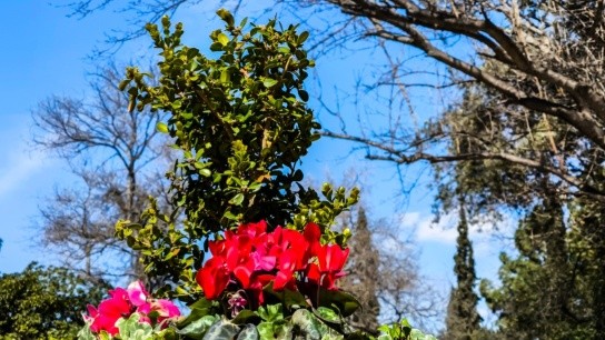 πρόγνωση καιρού δεκαήμερο ήπιος ανοιξιάτικος