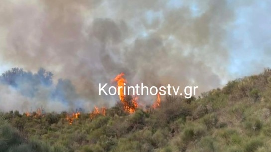 Πυρκαγιά δάσους Σοφιανά Κορινθίας πυροσβέστες επιχείρηση
