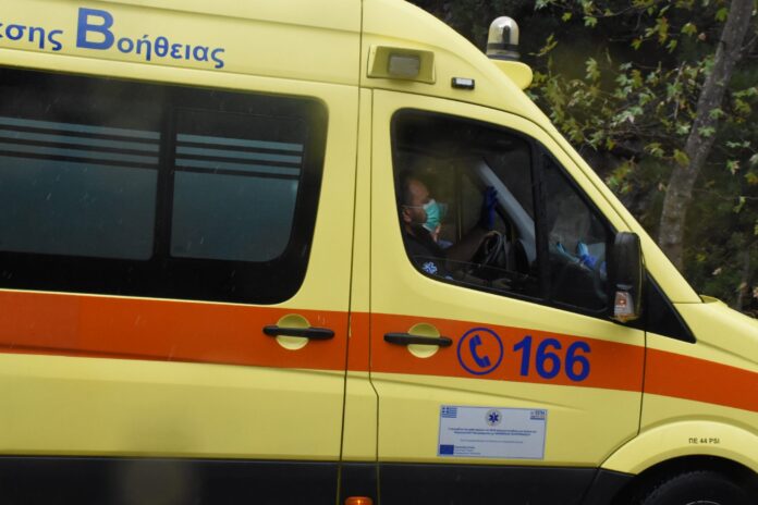 επίθεση αδέσποτων σκύλων αγροτική περιοχή Πιερία