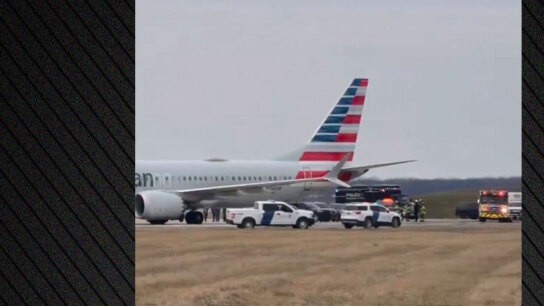 πτήση American Airlines Ντιτρόιτ FBI επιχείρηση αεροδρόμιο
