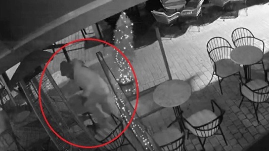 Διαρρήκτης Αγρινίου σκαρφάλωνε σε τέντα καφετέριας