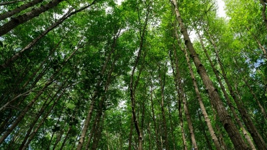 Φεβρουάριος θερμότερος κόσμος καιρός θερμοκρασία